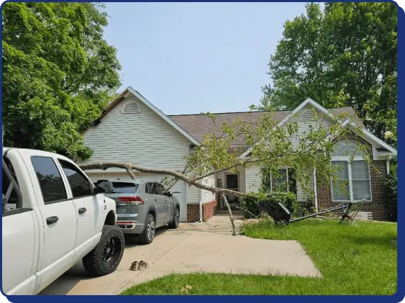 fallen tree insurance claim