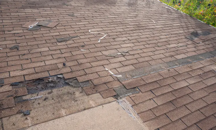 Urban Shield Roofing Top 4 Signs Your Roof Needs Repair Immediately - Urban Shield Roofing