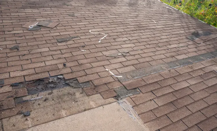 Top 4 Signs Your Roof Needs Repair Immediately - Urban Shield Roofing