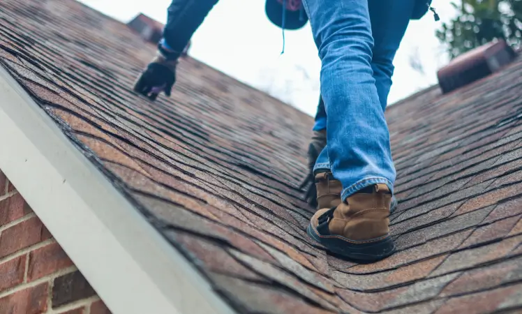 Urban Shield Roofing How to Patch a Leak in the Roof: A Step-by-Step Guide - Urban Shield Roofing