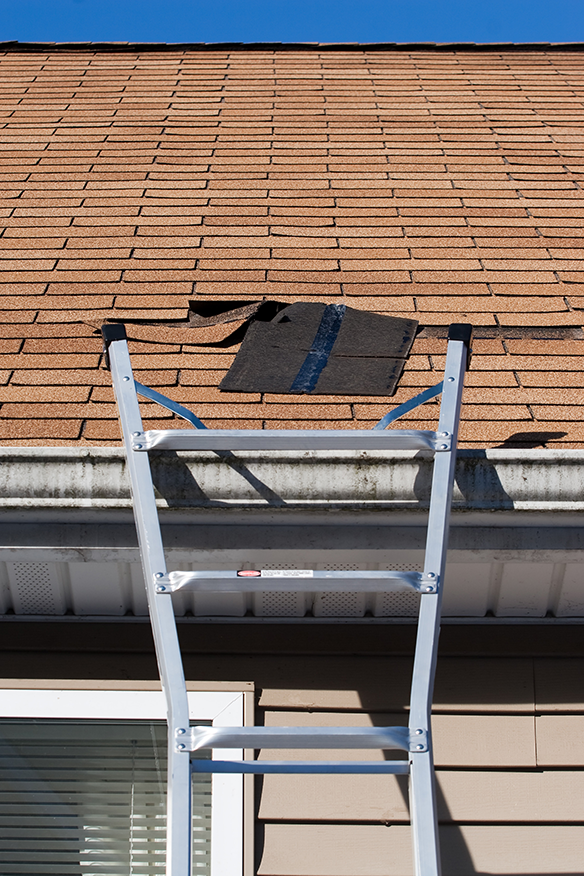Urban Shield AdobeStock_21452162 Shingle Repair Small Urban shield repairing a roof in Bloomington, IN